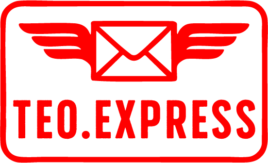 TEO.EXPRESS Logo